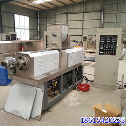 休闲膨化江米条生产机械 挂糖油炸京果设备的现代化应用